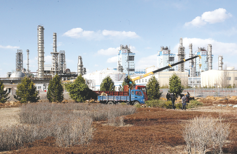 足球体育平台logo